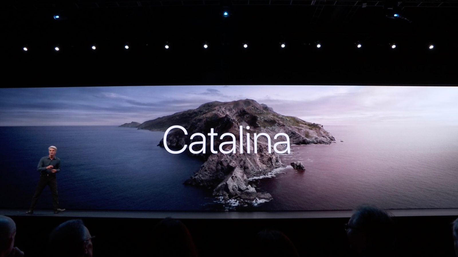 Mac Catalina Word Will Not Download